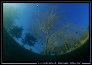 Freshwater Atmosphere... C'est que du bonheur... :O)... by Michel Lonfat 